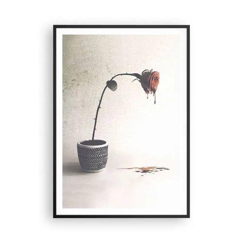 Poster in cornice nera - Rosa dolorosa - 70x100 cm