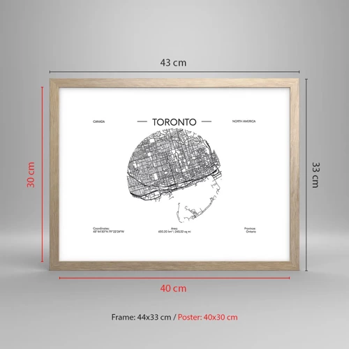 Poster in cornice rovere chiaro - Anatomia di Toronto - 40x30 cm