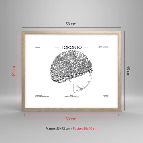 Poster in cornice rovere chiaro - Anatomia di Toronto - 50x40 cm