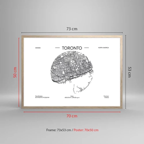 Poster in cornice rovere chiaro - Anatomia di Toronto - 70x50 cm