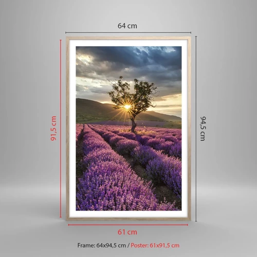 Poster in cornice rovere chiaro - Aroma di colore lilla - 61x91 cm
