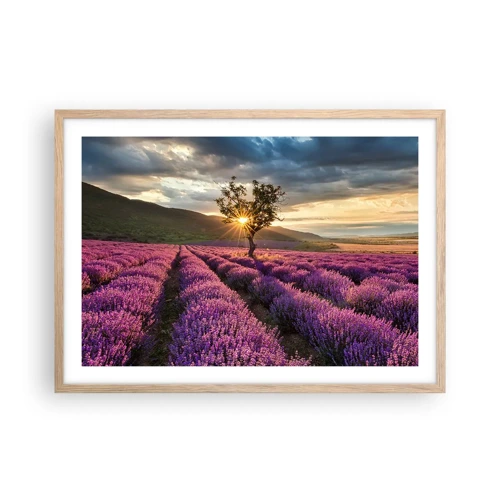 Poster in cornice rovere chiaro - Aroma di colore lilla - 70x50 cm