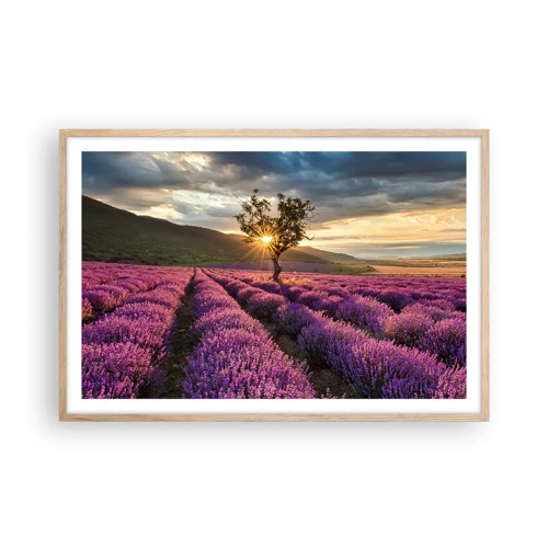 Poster in cornice rovere chiaro - Aroma di colore lilla - 91x61 cm