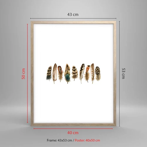 Poster in cornice rovere chiaro - Composizione di piume - 40x50 cm