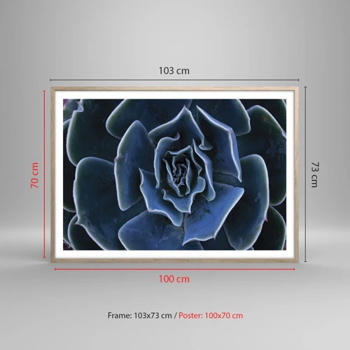Poster in cornice rovere chiaro - Fiore del deserto - 100x70 cm