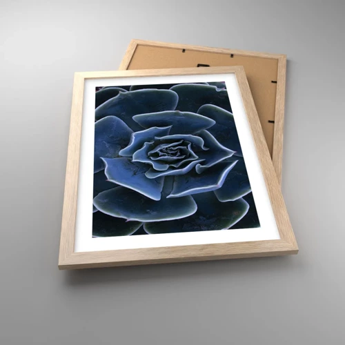 Poster in cornice rovere chiaro - Fiore del deserto - 30x40 cm
