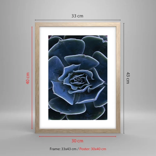 Poster in cornice rovere chiaro - Fiore del deserto - 30x40 cm