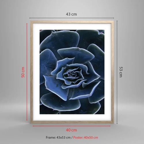 Poster in cornice rovere chiaro - Fiore del deserto - 40x50 cm