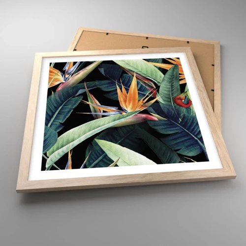 Poster in cornice rovere chiaro - I fiori fiammeggianti dei tropici - 40x40 cm