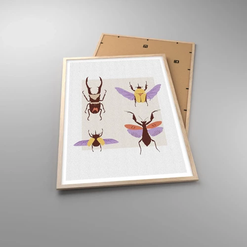 Poster in cornice rovere chiaro - Il mondo degli insetti - 61x91 cm