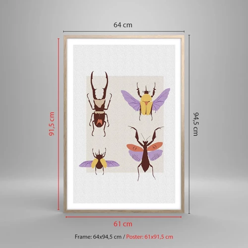 Poster in cornice rovere chiaro - Il mondo degli insetti - 61x91 cm