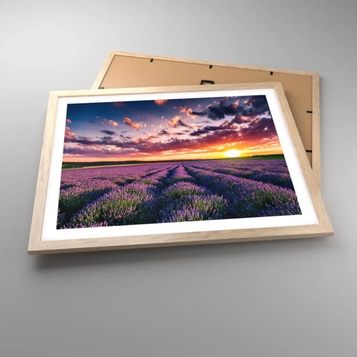 Poster in cornice rovere chiaro - Il mondo della lavanda - 50x40 cm