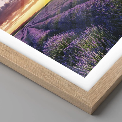 Poster in cornice rovere chiaro - Il mondo della lavanda - 50x40 cm