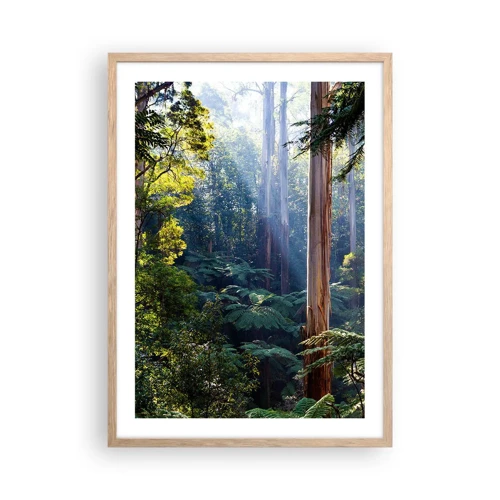 Poster in cornice rovere chiaro - La favola del bosco - 50x70 cm