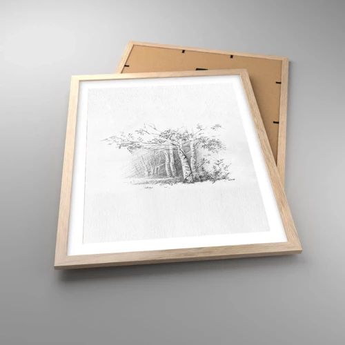 Poster in cornice rovere chiaro - La luce della foresta di betulle - 40x50 cm