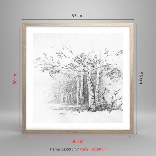 Poster in cornice rovere chiaro - La luce della foresta di betulle - 50x50 cm