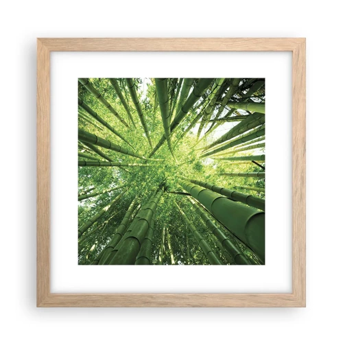 Poster in cornice rovere chiaro - Nella foresta di bambù - 30x30 cm