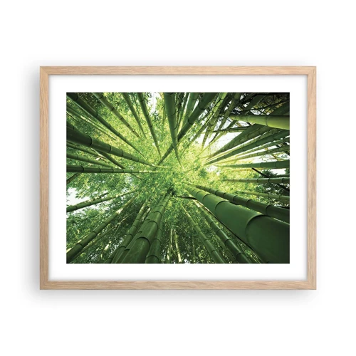 Poster in cornice rovere chiaro - Nella foresta di bambù - 50x40 cm