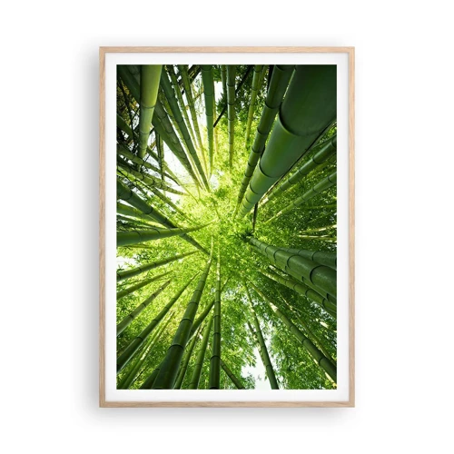 Poster in cornice rovere chiaro - Nella foresta di bambù - 70x100 cm