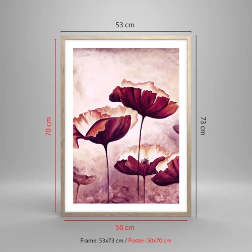 Poster in cornice rovere chiaro - Petalo rosso e bianco - 50x70 cm