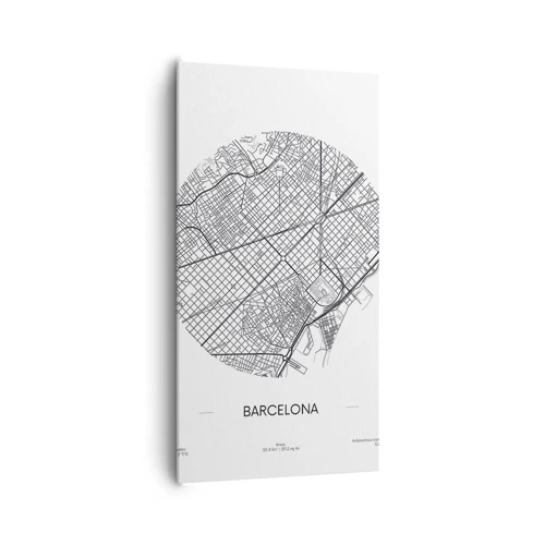 Quadro su tela - Stampe su Tela - Anatomia di Barcellona - 65x120 cm