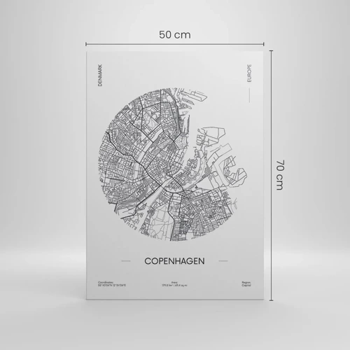 Quadro su tela - Stampe su Tela - Anatomia di Copenaghen - 50x70 cm