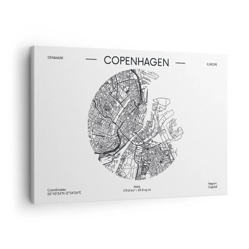 Quadro su tela - Stampe su Tela - Anatomia di Copenaghen - 70x50 cm