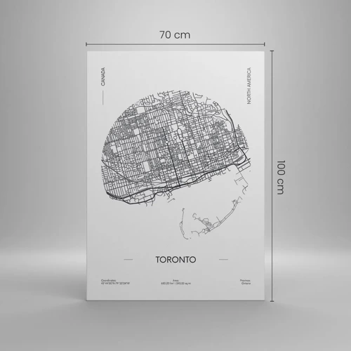 Quadro su tela - Stampe su Tela - Anatomia di Toronto - 70x100 cm