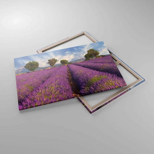 Quadro su tela - Stampe su Tela - Campi di lavanda - 120x80 cm