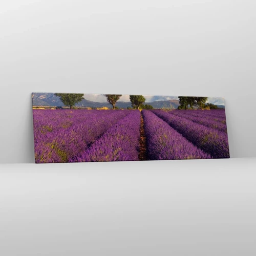 Quadro su tela - Stampe su Tela - Campi di lavanda - 160x50 cm