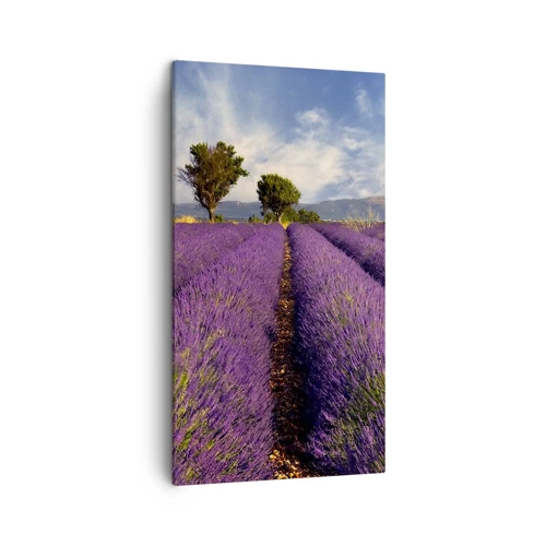 Quadro su tela - Stampe su Tela - Campi di lavanda - 45x80 cm