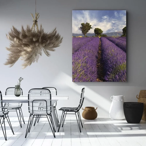 Quadro su tela - Stampe su Tela - Campi di lavanda - 45x80 cm