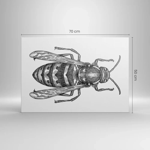 Quadro su tela - Stampe su Tela - Dal pianeta degli insetti - 70x50 cm