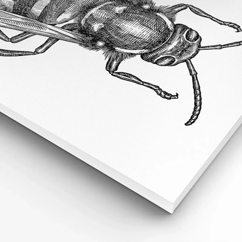 Quadro su tela - Stampe su Tela - Dal pianeta degli insetti - 70x50 cm