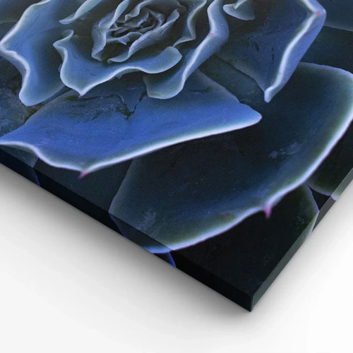 Quadro su tela - Stampe su Tela - Fiore del deserto - 65x120 cm