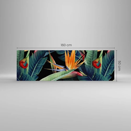 Quadro su tela - Stampe su Tela - I fiori fiammeggianti dei tropici - 160x50 cm