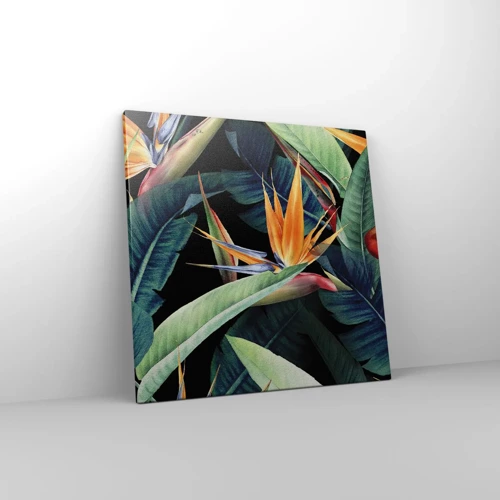 Quadro su tela - Stampe su Tela - I fiori fiammeggianti dei tropici - 50x50 cm