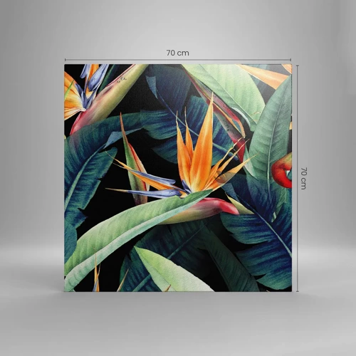 Quadro su tela - Stampe su Tela - I fiori fiammeggianti dei tropici - 70x70 cm