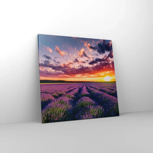 Quadro su tela - Stampe su Tela - Il mondo della lavanda - 60x60 cm