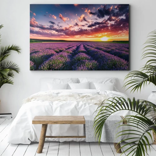 Quadro su tela - Stampe su Tela - Il mondo della lavanda - 70x50 cm