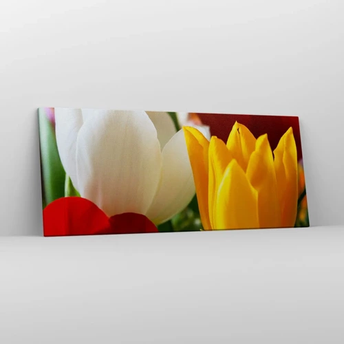 Quadro su tela - Stampe su Tela - La febbre dei tulipani - 120x50 cm