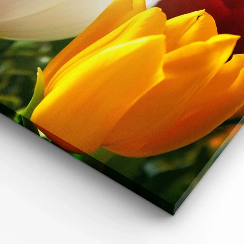 Quadro su tela - Stampe su Tela - La febbre dei tulipani - 120x50 cm