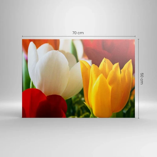 Quadro su tela - Stampe su Tela - La febbre dei tulipani - 70x50 cm