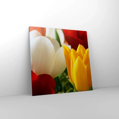 Quadro su tela - Stampe su Tela - La febbre dei tulipani - 70x70 cm
