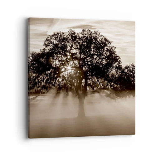 Quadro su tela - Stampe su Tela - L'albero delle sole buone notizie - 40x40 cm