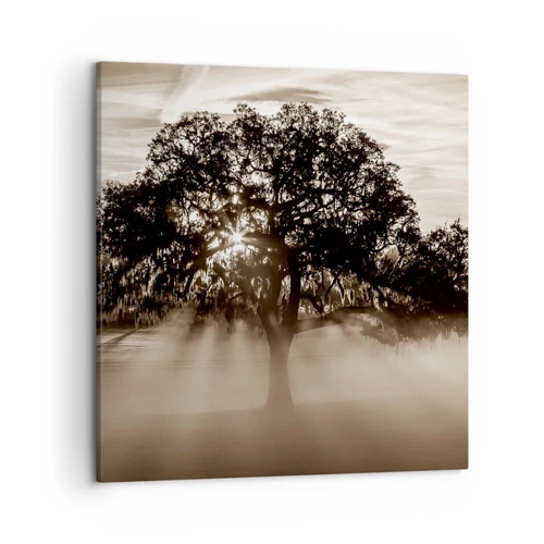 Quadro su tela - Stampe su Tela - L'albero delle sole buone notizie - 50x50 cm