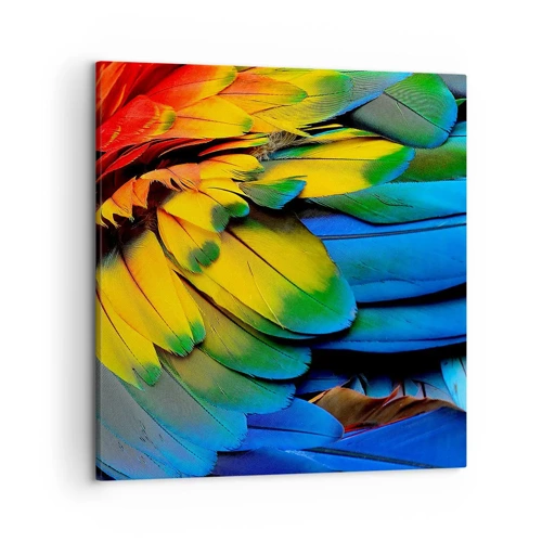 Quadro su tela - Stampe su Tela - L'uccello del paradiso - 50x50 cm