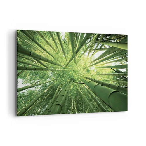 Quadro su tela - Stampe su Tela - Nella foresta di bambù - 100x70 cm