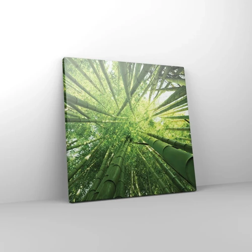 Quadro su tela - Stampe su Tela - Nella foresta di bambù - 30x30 cm