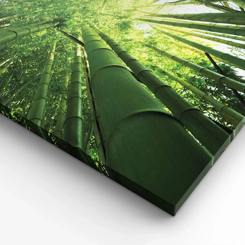 Quadro su tela - Stampe su Tela - Nella foresta di bambù - 30x30 cm